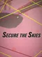 Secure the Skies