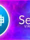 Seishin - Virtual Rhythm