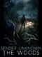 Sender Unknown: The Woods