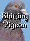 Shitting Pigeon
