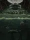 Shrouded Depths