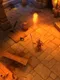 Skar: The Hammer Returns
