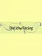 Sketchy Racing
