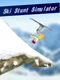 Ski Stunt Simulator