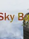 Sky Ball