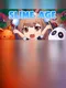 Slime Age: Parody MMORPG Clicker