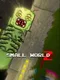 Small World Z