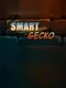 Smart Gecko