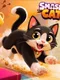 Smash Cat
