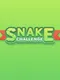 Snake Challenge