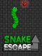 Snake Escape