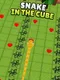 Snake in the Cube