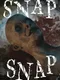 Snap Snap