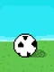 Soccer League