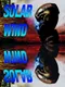 Solar Wind