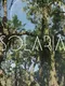 Solaria