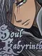 Soul Labyrinth