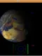 Space-Orbit