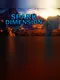 Spark Dimension