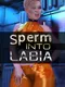 Sperm Into Labia
