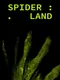 Spider Land
