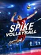 Spike Volleyball