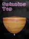 Spinning Top