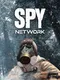 Spy Network