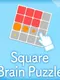 Square Brain Puzzle