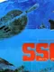 SSGN Covert Cruise Special Attack Strategy