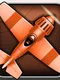Steambirds: Survival