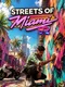 Streets of Miami VR