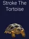Stroke the Tortoise