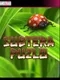 Subtera Puzlo