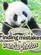 Super Kawaii! Finding Mistakes in Panda Photos