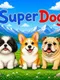 SuperDog