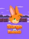 Surge the Rabbit