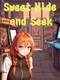Sweet Hide and Seek