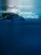 Swimming with Humpbacks