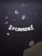 Sycamore
