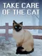 Take Care Of The Cat