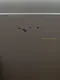 Tank survival Game