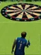 Target Toss Pro: Lawn Darts