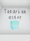 Tatarian aster