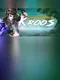 The adventure of Kroos