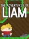 The Adventures of Liam