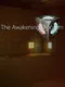 The Awakening Program