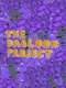 The Dabloon Project