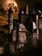 The Dracula Files