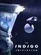 The Indigo Initiative